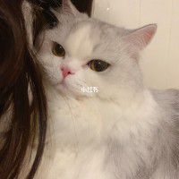 用戶頭像