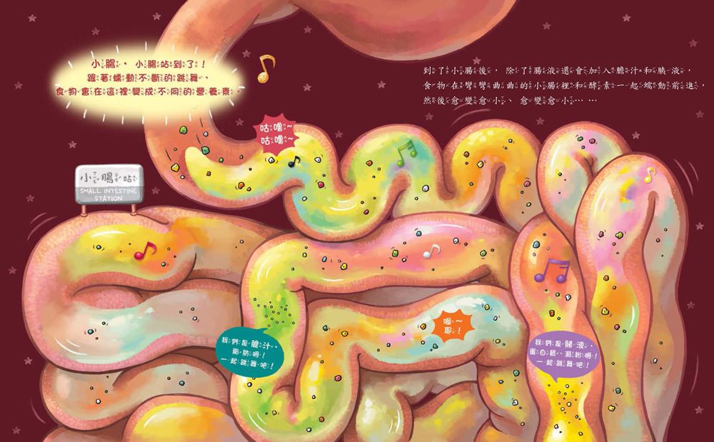 神奇的便便工廠：食物的奇妙旅程