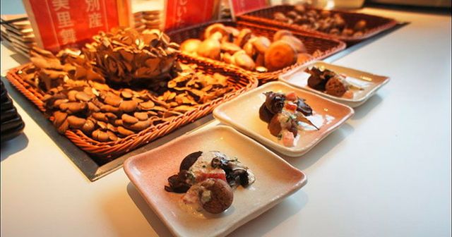 【日本北海道】Day1 Part2：Tomamu 星野渡假村 --> hal buffet 晚餐 --> 安藤忠雄之水教堂