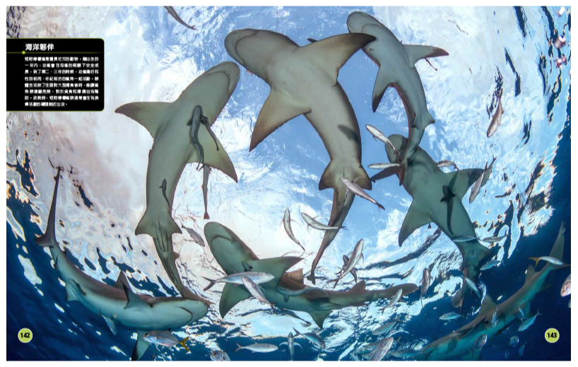 超能力鯊魚百科：驚人的海洋動物大圖解 (精裝 / 208頁 /全彩印刷)