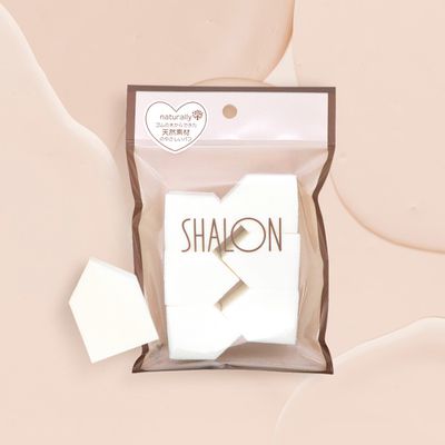 日本SHALON - 日本製專業用房型 海棉(6入)
