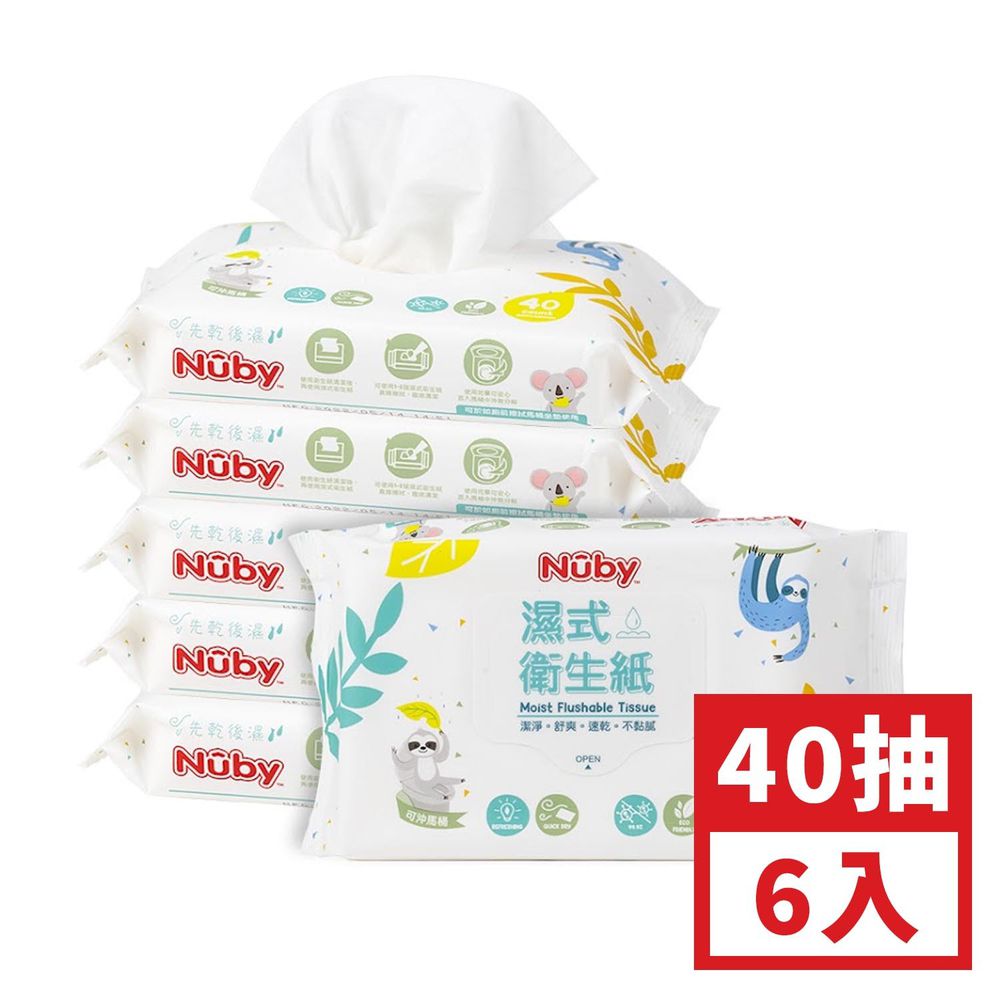 Nuby - 濕式衛生紙40抽-6包