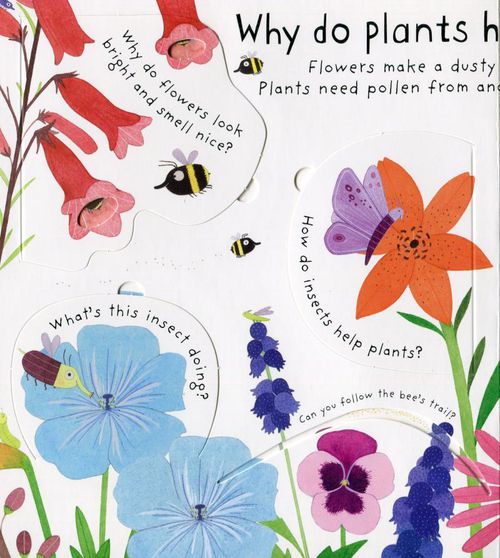 Lift-the-Flap First Questions & Answers: How do flowers grow ? 花的生長秘密（翻翻書）