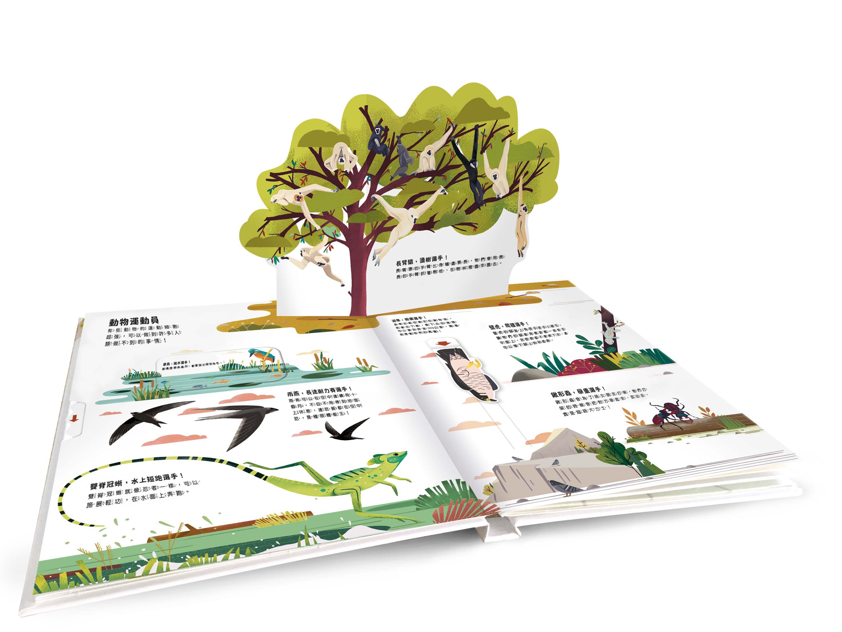 小小知識家動手大發現-動物AMAZING