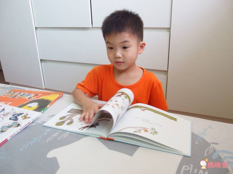 《不會游泳的獅子》學習克服內心的恐懼