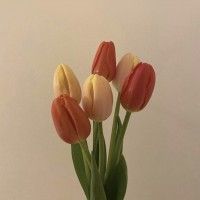 用戶頭像
