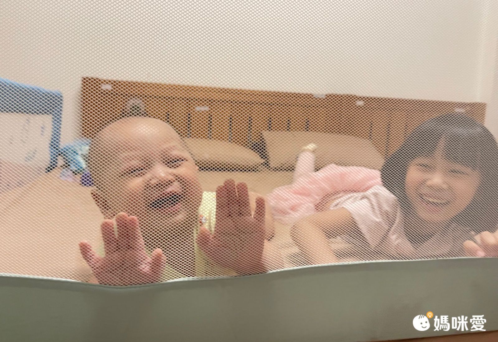 YODA - 垂直升降床邊護欄-果實灰