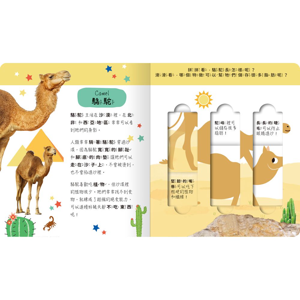 lovely puzzle-沙漠動物園