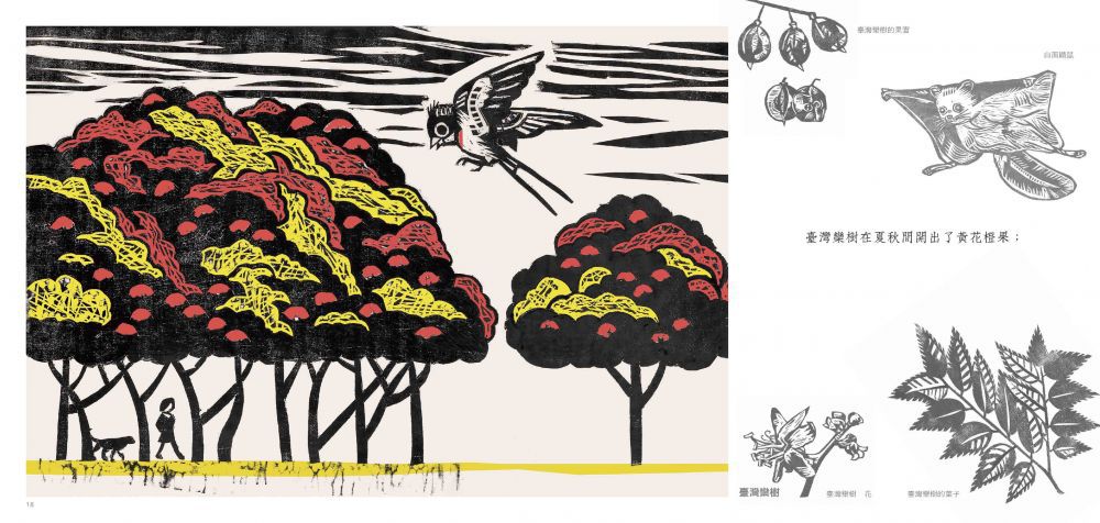 大樹是寶(二版)