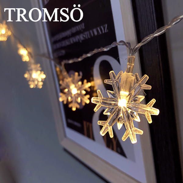 TROMSO - 雪花燈串/聖誕燈飾/耶誕掛飾配件-超值2入組-LED電池盒式-暖黃光 (約300cm)-一串20燈/約80g