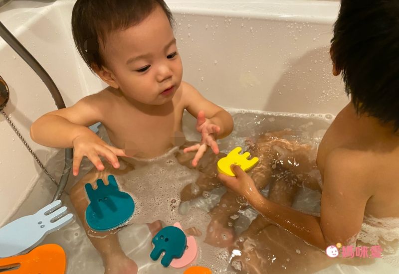 比利時 QUUT - 鯊魚拼貼