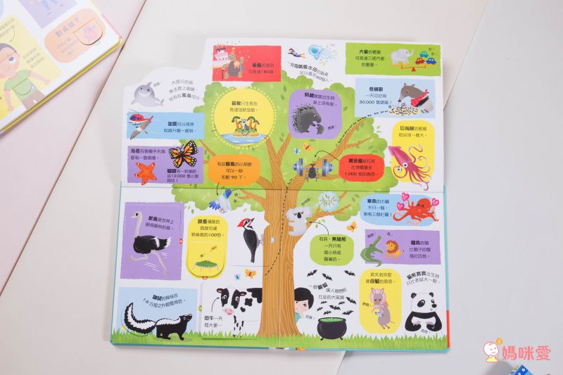 ★打造聰明好腦袋★益智翻翻小百科 / 童趣推拉轉操作書大集合！