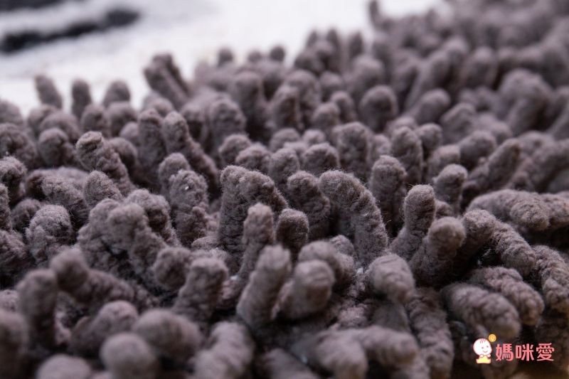 日本 TOMO - 毛茸茸可愛動物腳踏墊-比熊犬 (約直徑45cm)