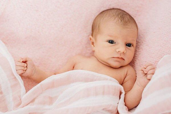 新花色登場！美國 Aden + Anais 包巾 / 被毯 / 圍兜