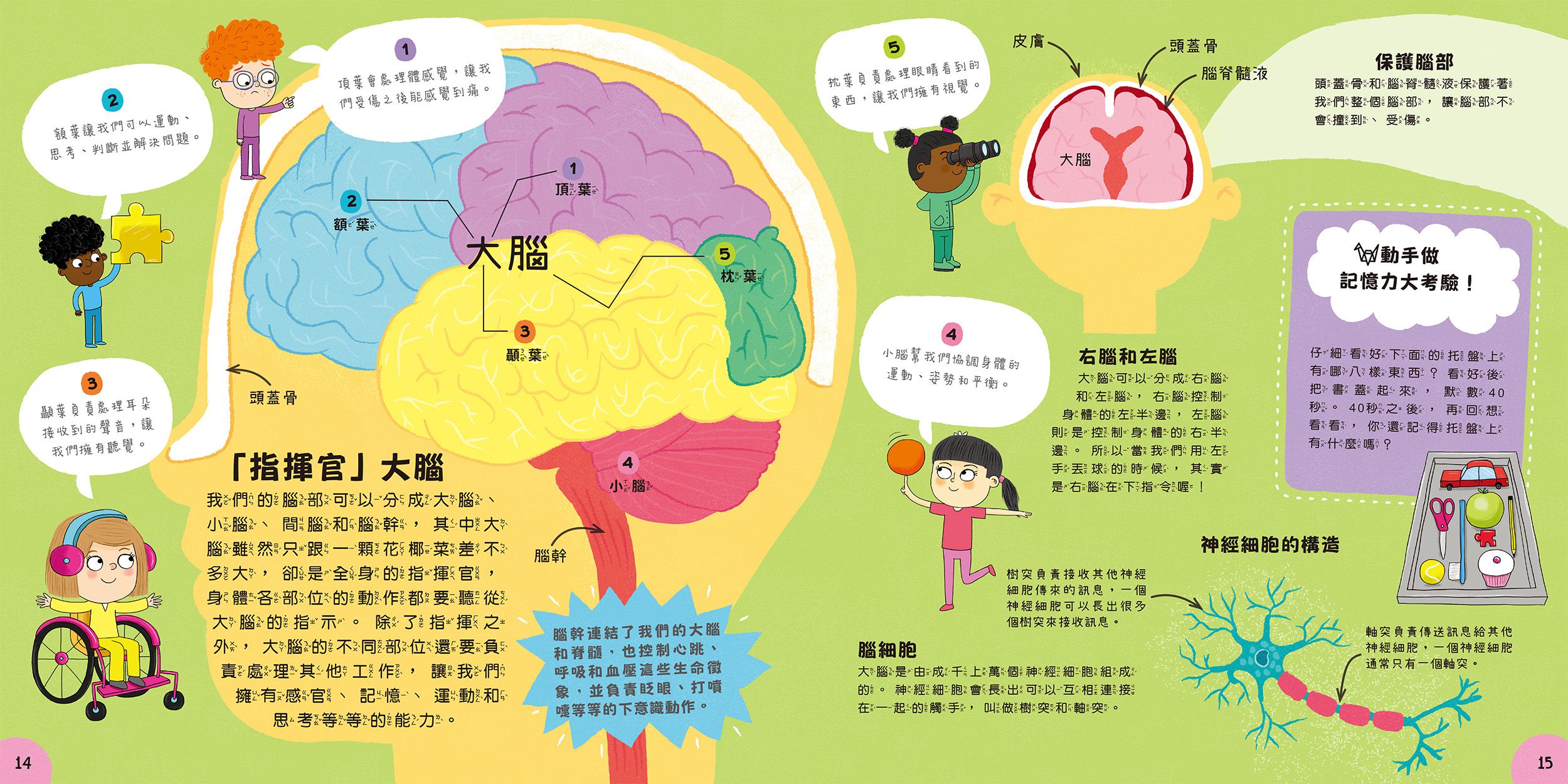 小小知識家的百科書套書10冊(書盒版)
