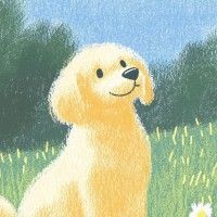 用戶頭像