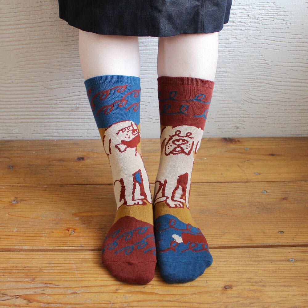 日本製 伊索寓言印花長襪-貪心的狗-棕x藍 (23-25cm)