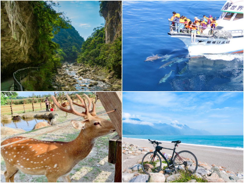 環島之星 Hello Kitty 繽紛列車｜一票吃住玩到底