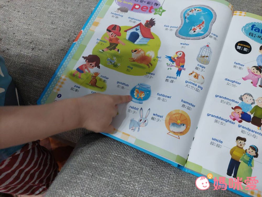 手指按按單字圖畫點讀書(Pro版)