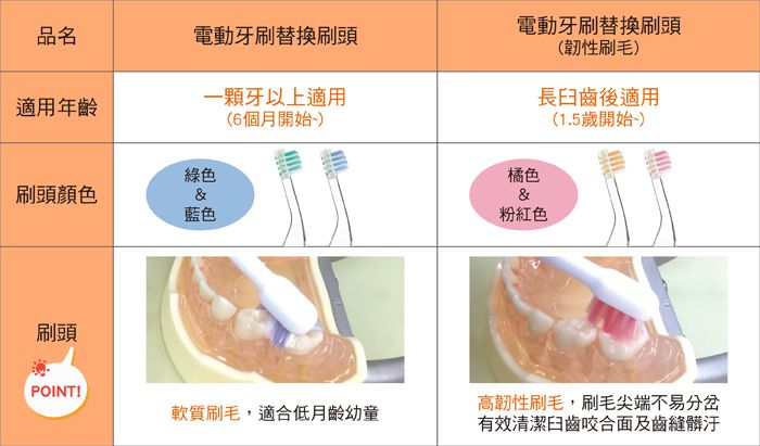 日本 Combi - teteo 幼童電動牙刷替換刷頭 -韌性刷毛-2入 ((約1歲6個月)以上適用)