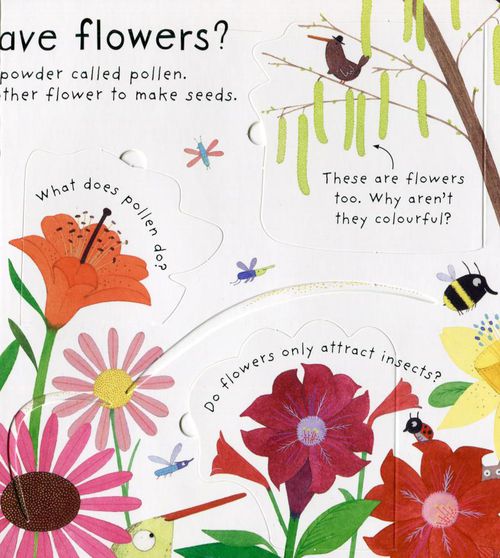 Lift-the-Flap First Questions & Answers: How do flowers grow ? 花的生長秘密（翻翻書）