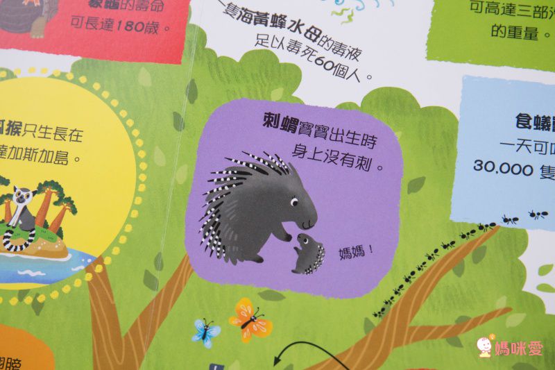 ★打造聰明好腦袋★益智翻翻小百科 / 童趣推拉轉操作書大集合！