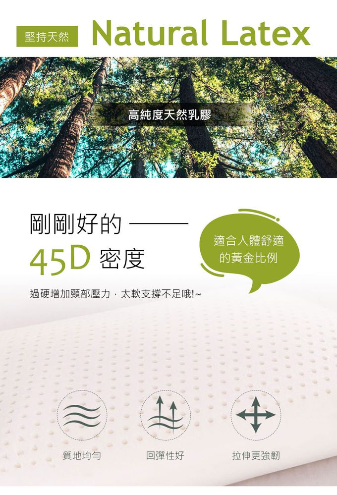 鴻宇 HongYew - 防螨抗菌100%美國棉兒童標準型天然乳膠枕-旅行家2022-綠