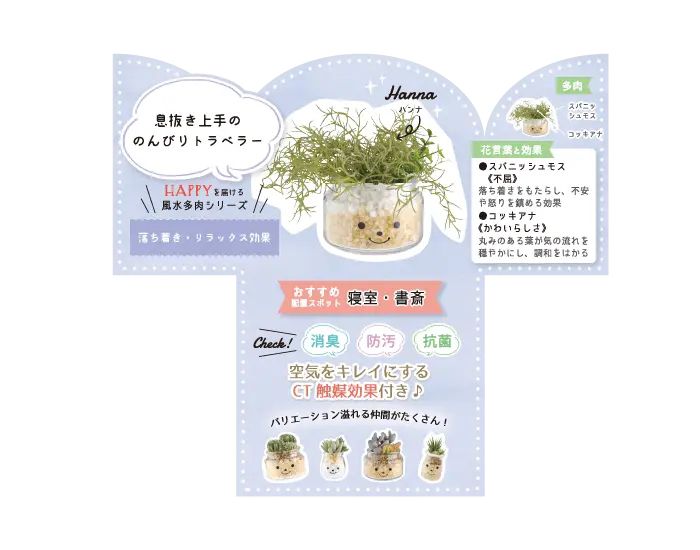 日本 KISHIMA - CT觸媒 開運消臭仿真多肉盆栽-RELAX-Hanna (L(20.5x15x12cm))