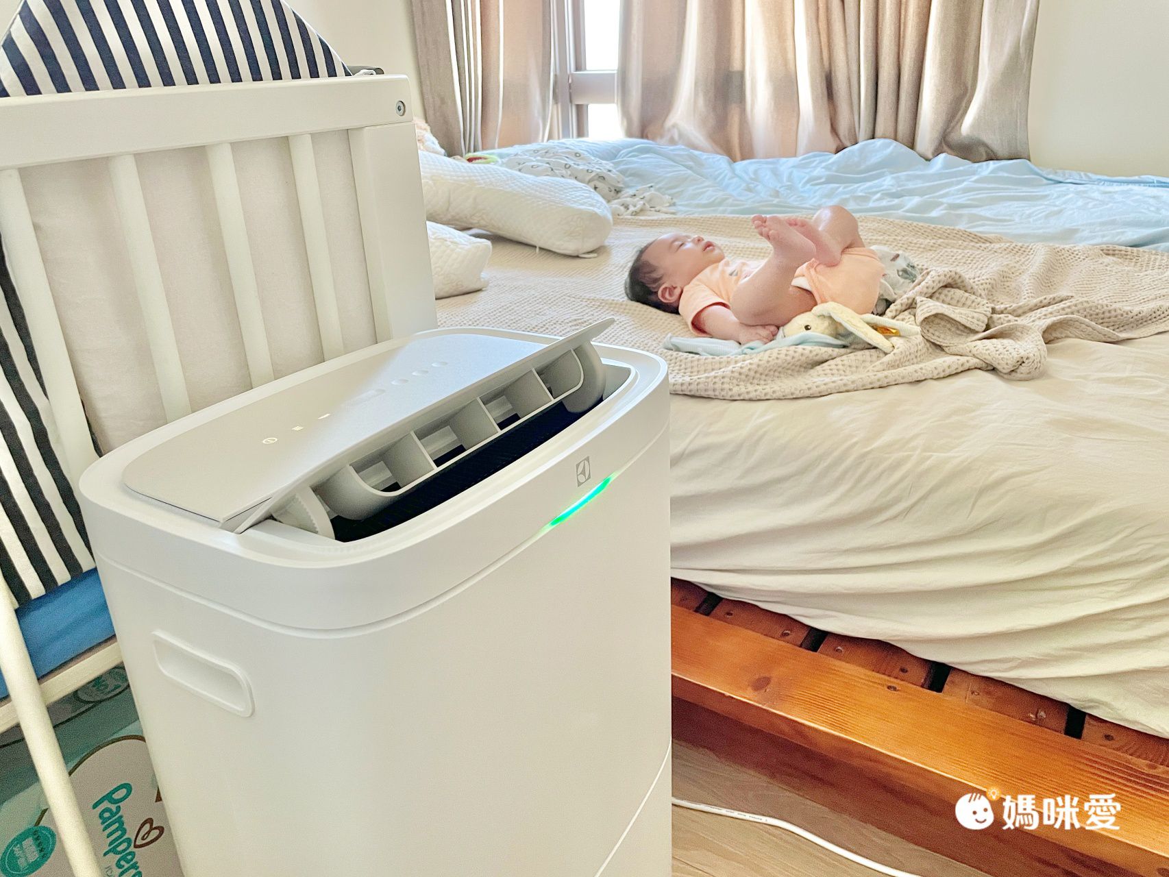 除濕清淨雙效合一！【伊萊克斯 清淨除濕機】室內晾衣不發臭