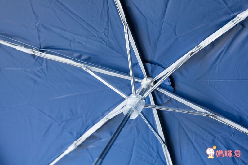 日本 kukka hippo - 兒童單片透明直傘-恐龍世界