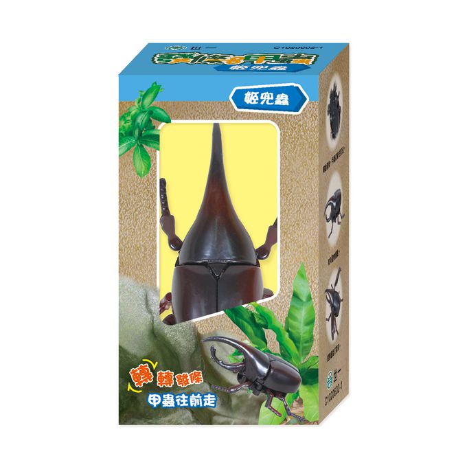 世一文化 - 發條甲蟲-姬兜蟲