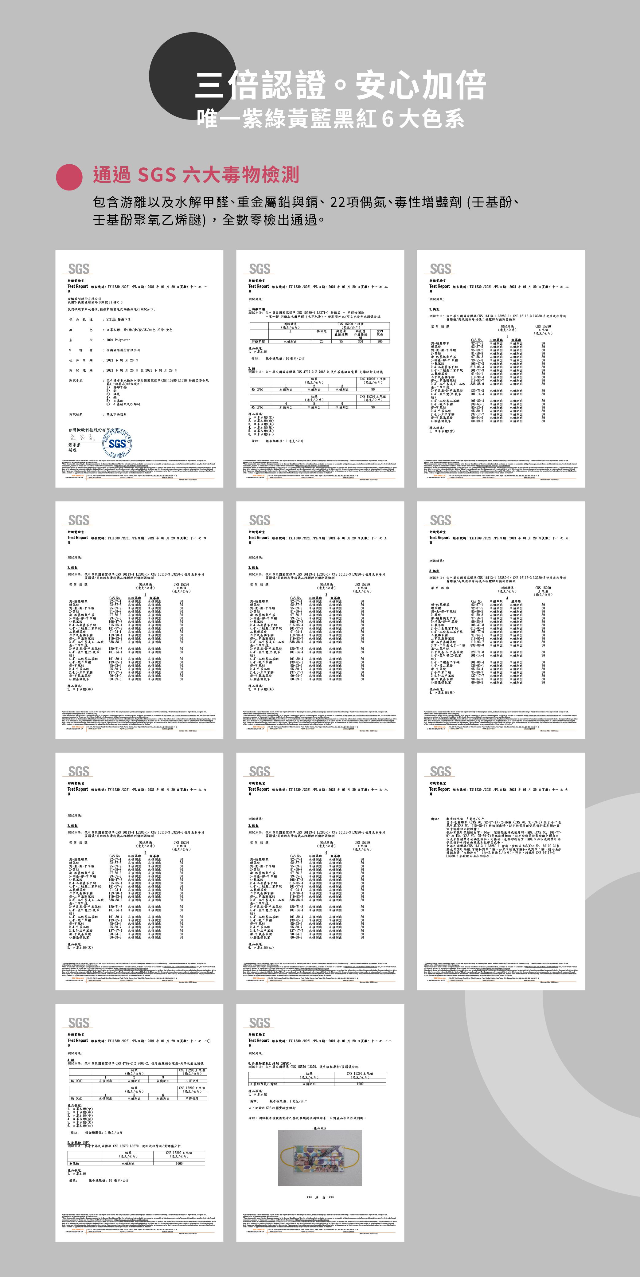 公主系漸層、爆走恐龍【STYLEi 史戴利】雙鋼印兒童口罩
