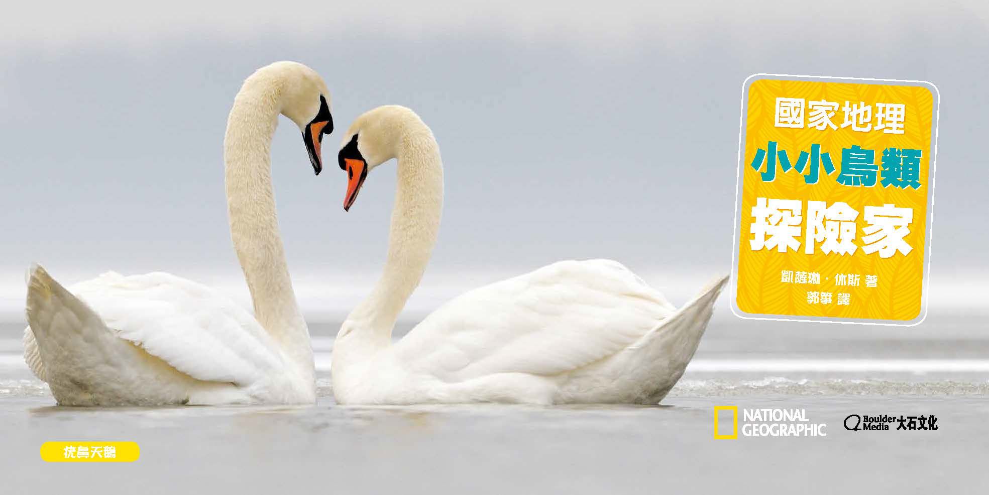 國家地理小小鳥類探險家 (精裝 /128頁 /全彩印刷)