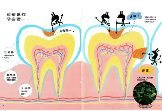 牙齒和嘴巴的奧秘