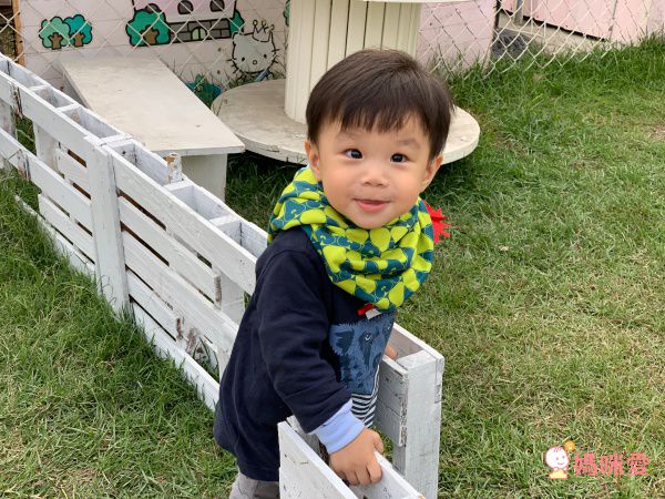 英國 redurchin 有機棉脖圍 / 帽圍 / 披肩