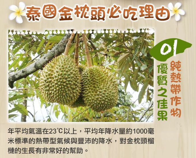 愛品鮮 - 泰國進口鮮凍金枕頭榴槤2盒組(350g/盒)