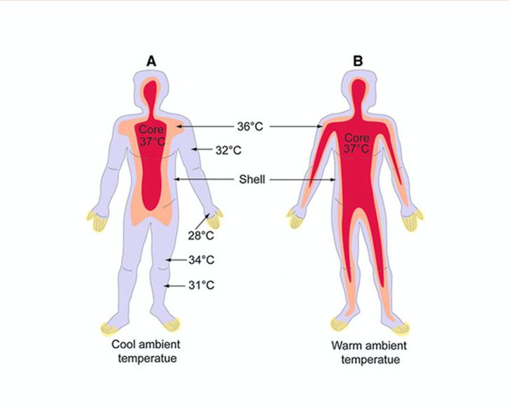 韓國 LOVLOY - (升級版)彈力加壓瘦腿/美腿襪套-腳踝款-黑