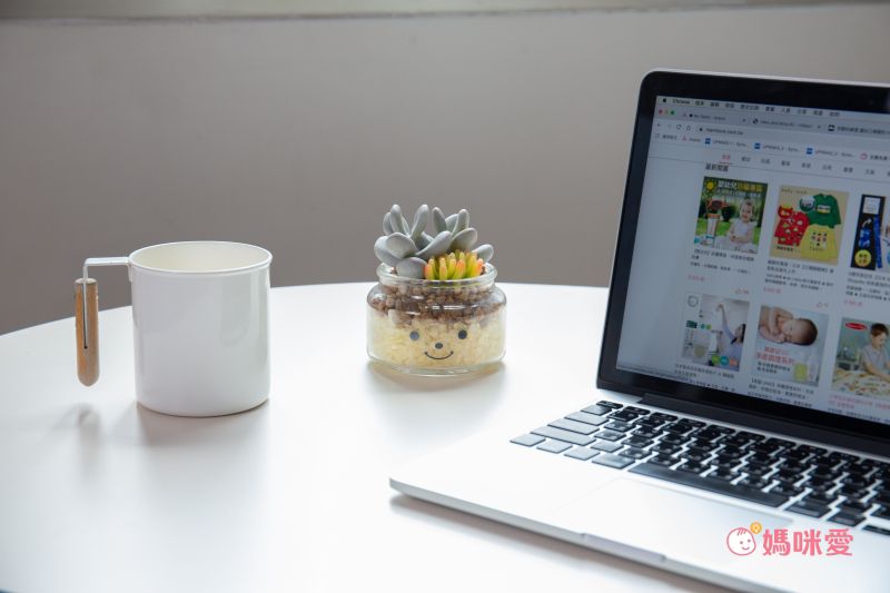 日本 KISHIMA - CT觸媒 開運消臭仿真多肉盆栽-防小人-Adele (S(6.5x7x11cm))