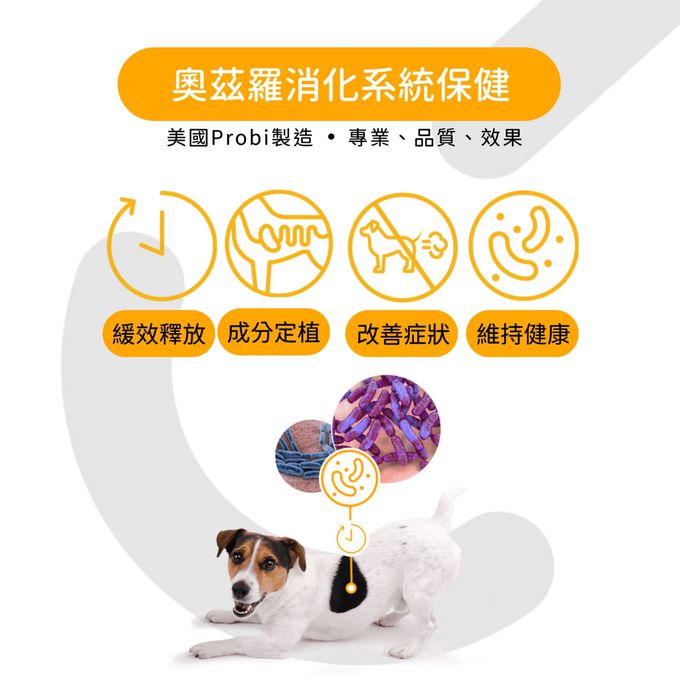 OZLOO奧茲羅 - 消化系統保健 中小型犬 60顆 兩個月份量(益生菌/維持腸道健康)