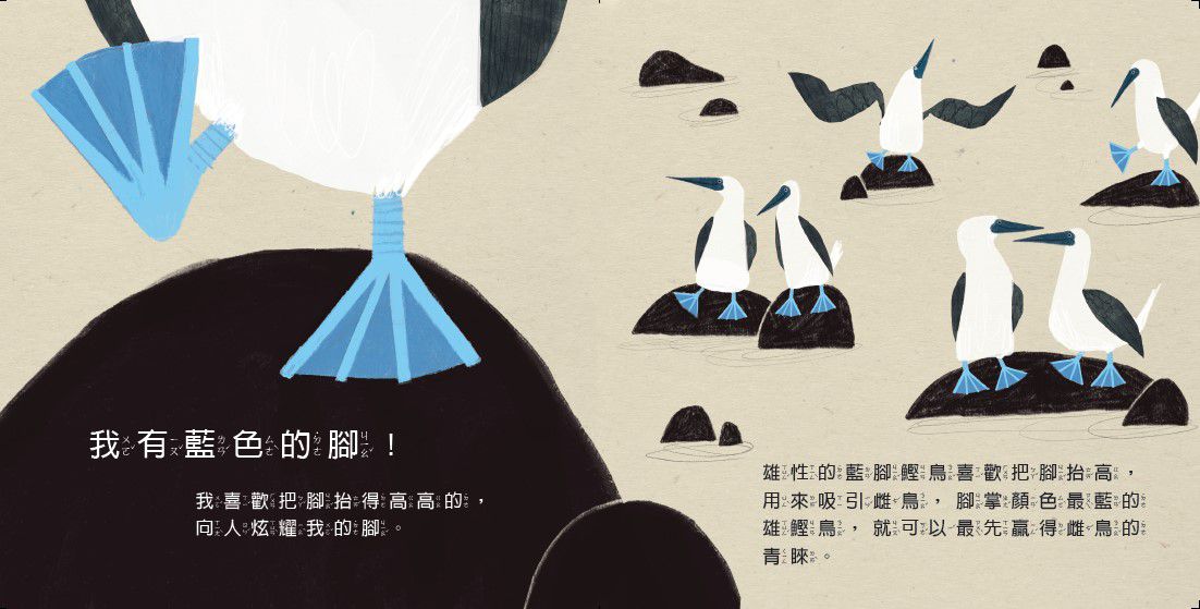 看我的無影腳