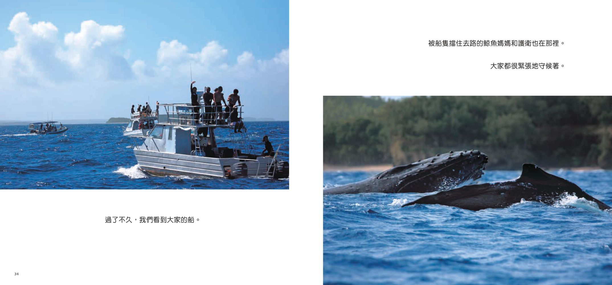 小鯨魚找媽媽：南太平洋東加王國的大翅鯨紀實繪本