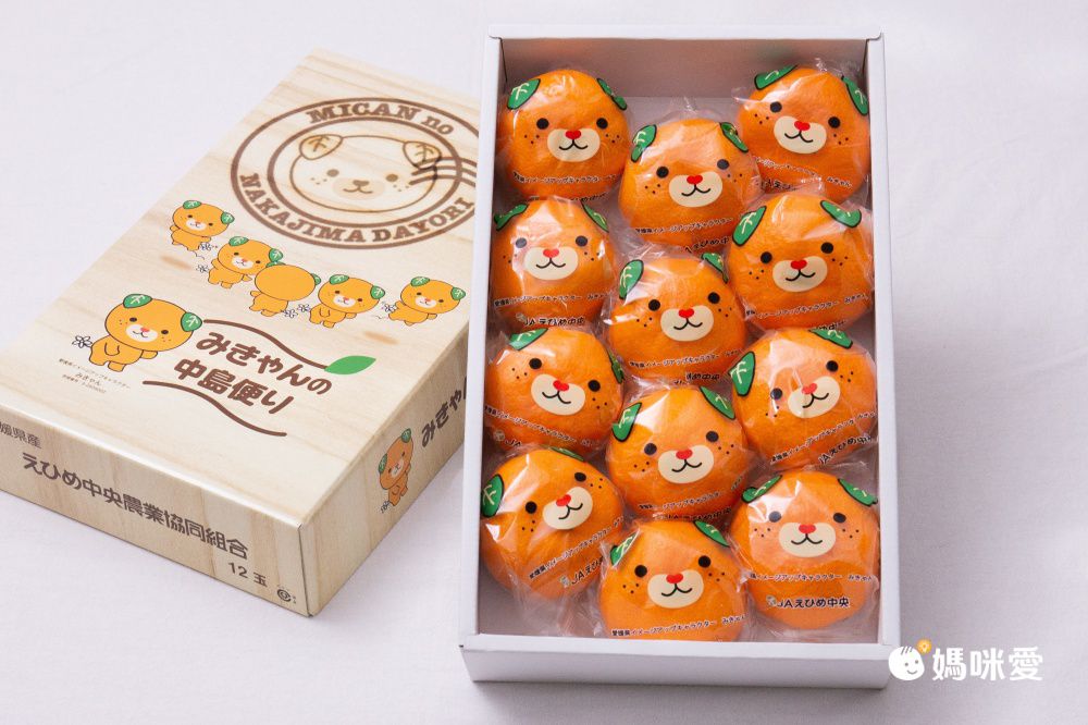 日本直送！【愛媛縣 中島犬蜜柑禮盒】濃郁柑香​ 皮薄無籽