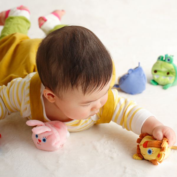 akachan honpo - Solby可愛動物布偶組