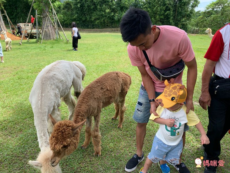 新竹國賓大飯店 ★ 木樂地親子沙坑遊戲室 讓孩子大放電