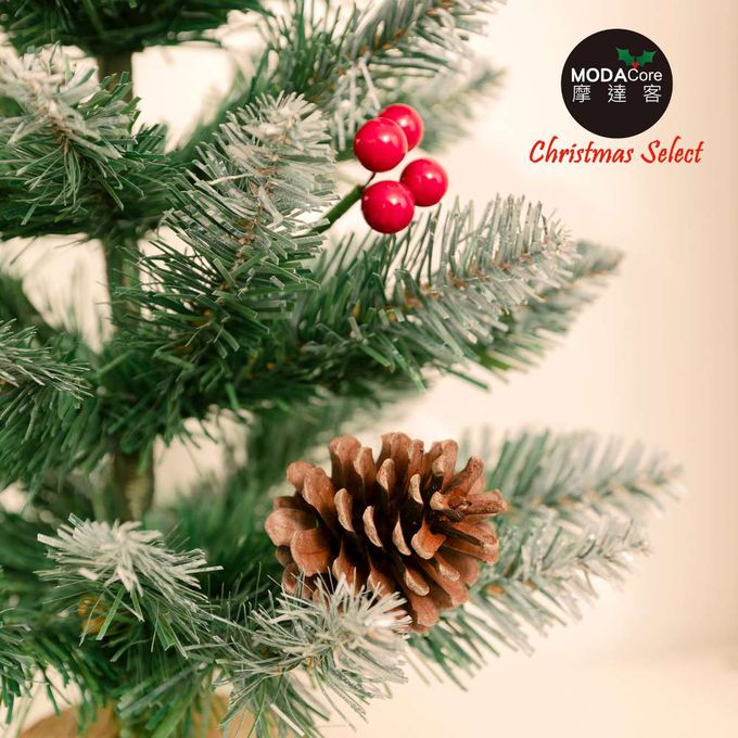 MODACore 摩達客 - 摩達客耶誕-55cm頂級優雅紅果植雪松果原木底座聖誕樹裸樹/不含配件/本島免運費