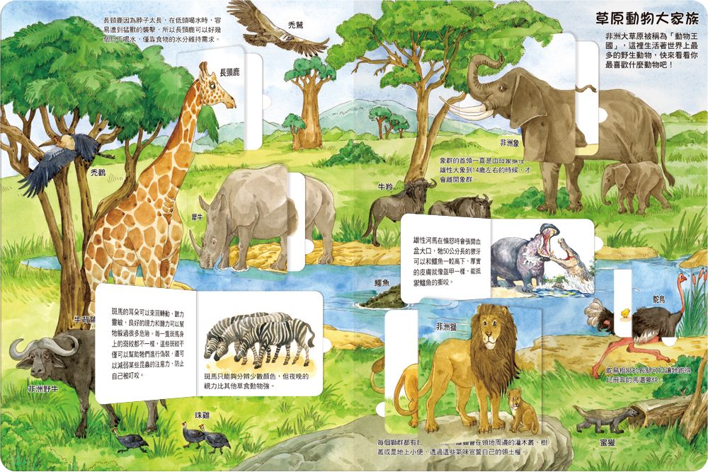 我的STEAM翻翻書：無奇不有的動物-內含7個場景+53個翻頁小機關