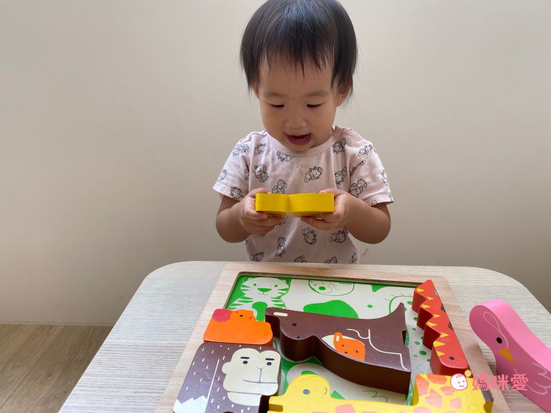 益智學習【英國 Le Toy Van、澳洲 Kiddie Connect】啟蒙教具