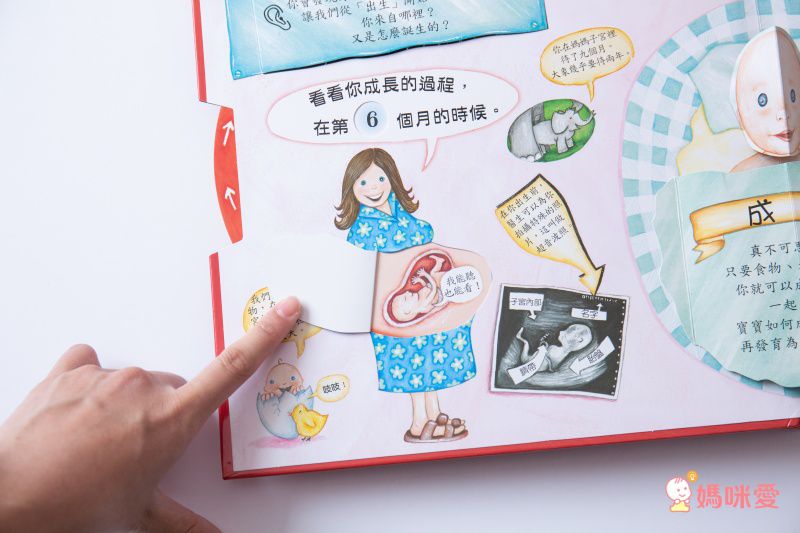 身體原來是這樣