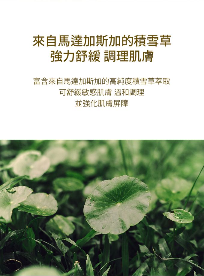 SKIN1004 - 馬達加斯加積雪草 AIR-FIT防曬霜 超輕盈版 (單入)-50ml