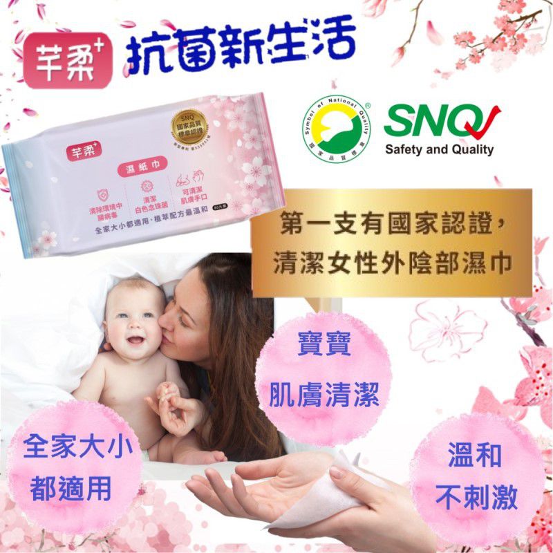 芊柔 - PLUS 三合一 厚型濕紙巾(可同時清除腸病毒+白色念珠菌)-80抽x12包/箱